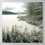 Winter Lake/Cattails Poster posters