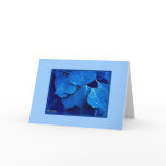 Winter Leaves cards