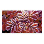 Winter Leaves, Happy birthday business cards