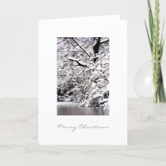 Winter, Merry Christmas card