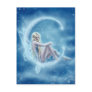 Winter Moon Postcard