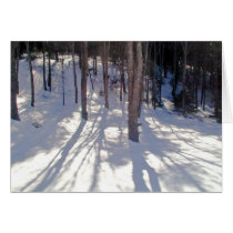 Winter Morn Card cards