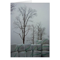 Winter Morning 5x7 Card