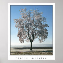 Winter Morning  Poster