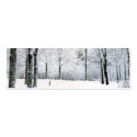 Winter park gift tag business cards