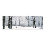 Winter park gift tag business cards