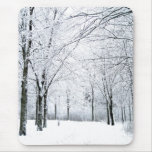 Winter park mousepad