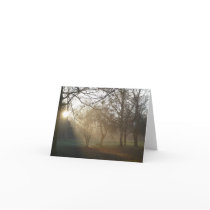 'Winter Park' Notecard