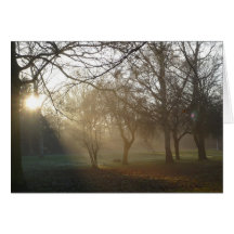 'Winter Park' Notecard
