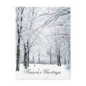 Winter park postcards