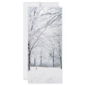 Winter park rack cards