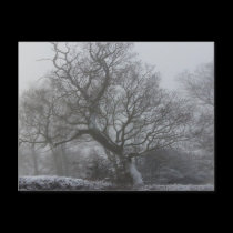 Winter Photo Scene postcards