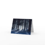 WINTER: Pines in snow cards