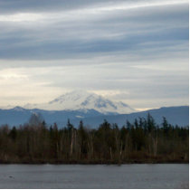 Winter River View