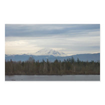 Winter River View