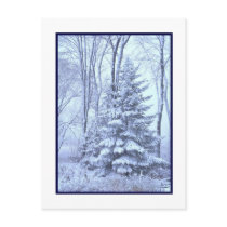 Winter Robes ~ Blue Post Cards