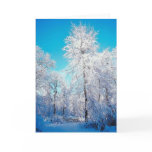 Winter Scene Card