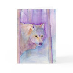 "Winter Shadow" - to benefit Kairos Outside