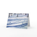 Winter Shadows cards