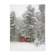 Winter Shed