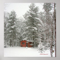 Winter Shed Snow Storm