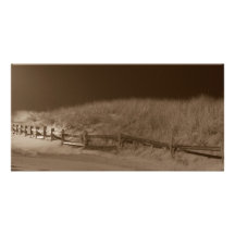 Winter Silence Custom Photo Card