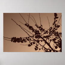 Winter Silhouette Posters