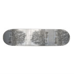 Winter skateboard