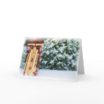 WINTER SLED IN COLORADO CARD