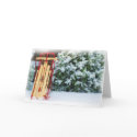 WINTER SLED IN COLORADO CARD