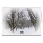 Winter Sleep cards
