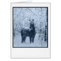 Winter snow horse cards