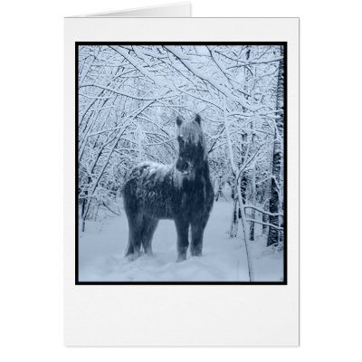Winter snow horse card by dahorsegifts
