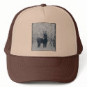 Winter snow horse hats