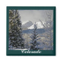 Winter Snow Scene,Colorado magnets