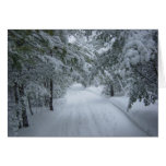 Winter Snow Trail Cards