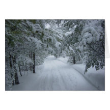 Winter Snow Trail Cards