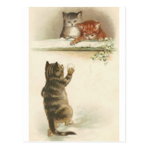 Winter snowball fun Postcard