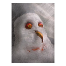 Winter - Snowman - What are you looking at Custom Invitations
