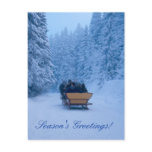 Winter snowy greetings! post cards