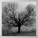 winter solitude posters