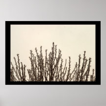 Winter Spikes Posters