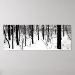 Winter Spirit posters