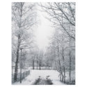 Winter starts here flyers