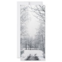 Winter starts here rack cards