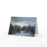 Winter Storm Greeting Card