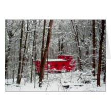 Winter storm (Greeting Card)
