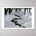 Winter Stream posters