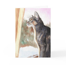 "Winter Sun" Blue Abyssinian