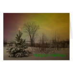 Winter Sun Greeting Cards